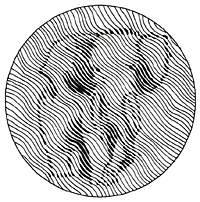 挿絵：何がみえる？