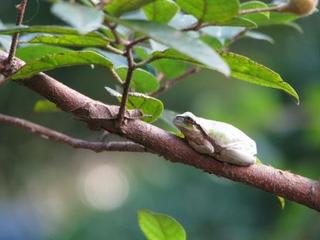 我が家はターミナル：画像