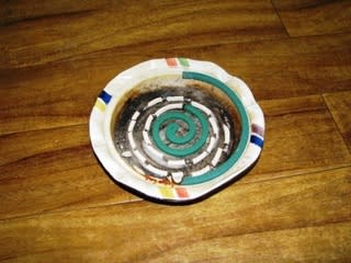 夏の香りに迎えられ：画像