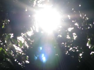 「室生「」(むろう)と年賀状：画像