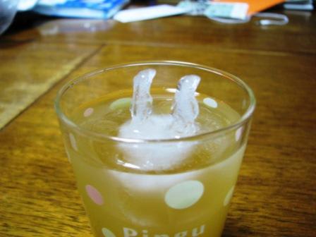 ぺんぎんオンice：画像
