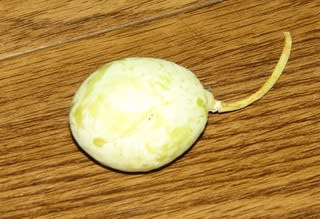 知らなかった、気づかなかった……：画像