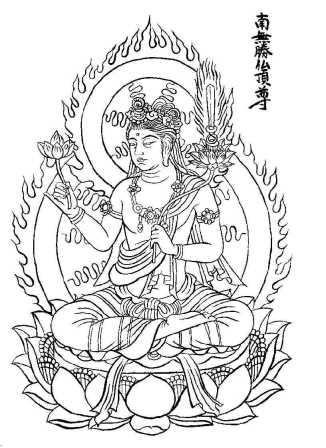 別に必要じゃないですけどね・・・：画像