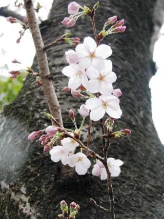 備えつけの備品は?：画像