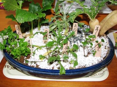 欣求（ごんぐ）にて候：画像