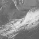 順調ではないか。：画像