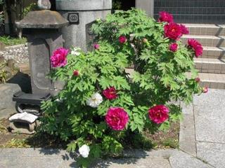 くずれる：画像