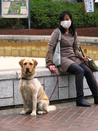 ４０パーセント。：画像