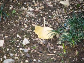 今月の声明ライブは10日でした。：画像