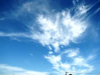 甘え上手：画像