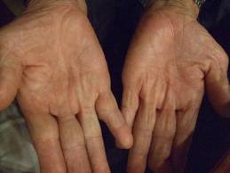 「バカタレ」と職人：画像