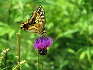 混雑する場所：画像