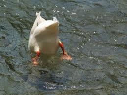 「せっせとはたらく」とは驚いた。：画像