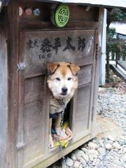 ボーッとズーッと。：画像