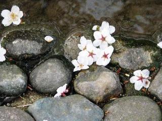 上手にまとめるものだな：画像