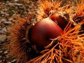 あなたが直面していることは真実：画像