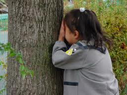 皆目の見当：画像