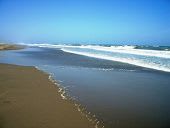 沈香は濁点を忘れずに：画像