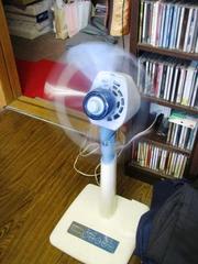 本日、聲明ライブです：画像