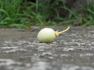 無いことさえわからない：画像