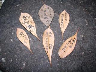 はっぱと心経と仏：画像