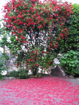 そっとしておくことこそ、ゆかしけれ。：画像