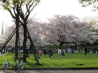 ４５ミニッツ：画像