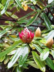 本堂で心ゆくまで：画像