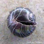 土壇バワー：画像