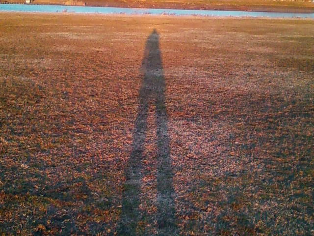 足長坊さん：画像