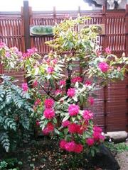 口々に大騒ぎ：画像