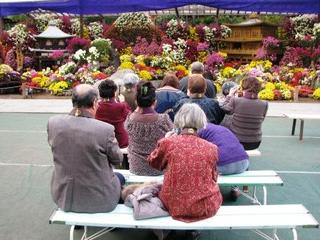 菊の供養になりしや：画像