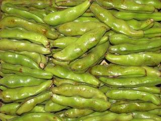 ご詠歌と琴とソプラノと：画像