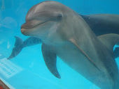 りっぱな○○(道徳の授業、アッパレ)：画像