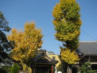 落とそうというのだから…：画像