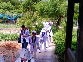 あったか巡礼：画像