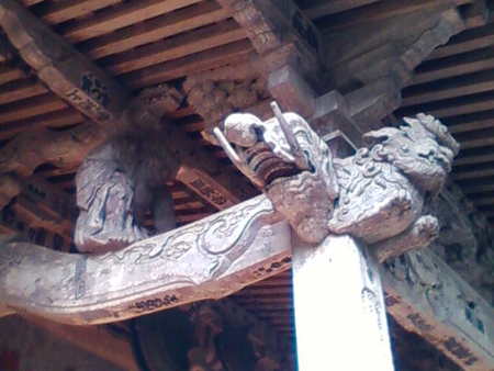 珍しいかもしれない：画像