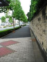 『神さまの通り道』：画像