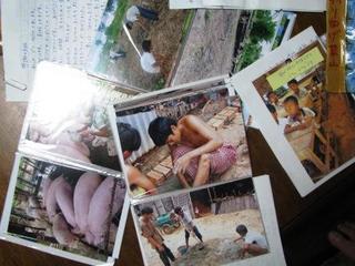 カンボジアレポート：画像