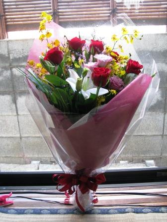 森羅万象：画像