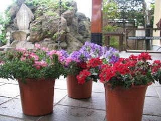 長いものには：画像