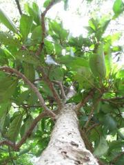 うかりける街。：画像