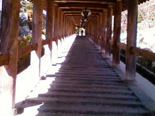 どうにか、さんか、よんか。：画像