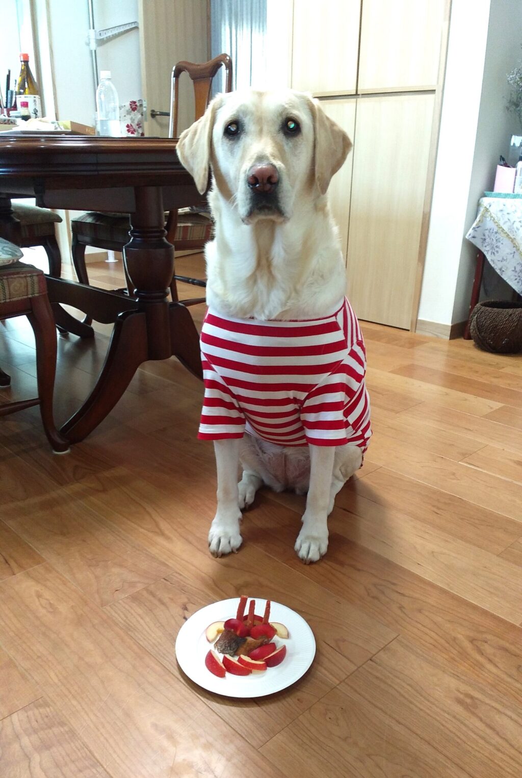 犬用ケーキ？：画像