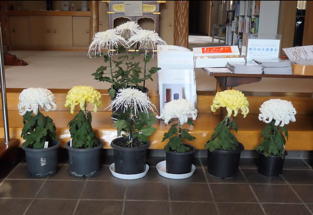 もったいないから：画像