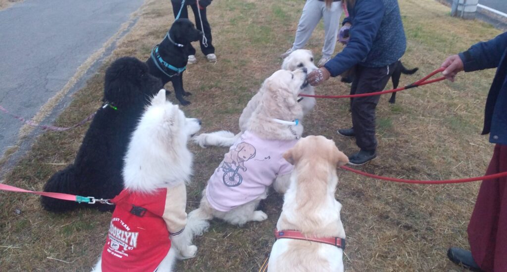 帰らない理由：画像