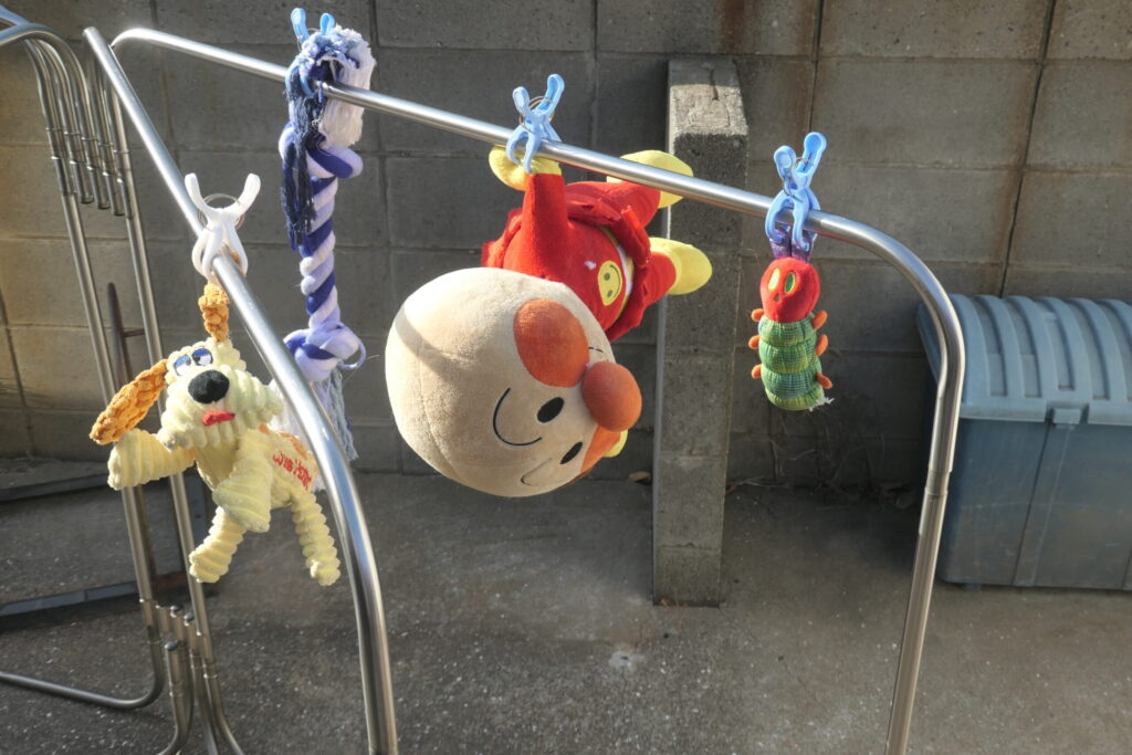 天日干しされるもの：画像