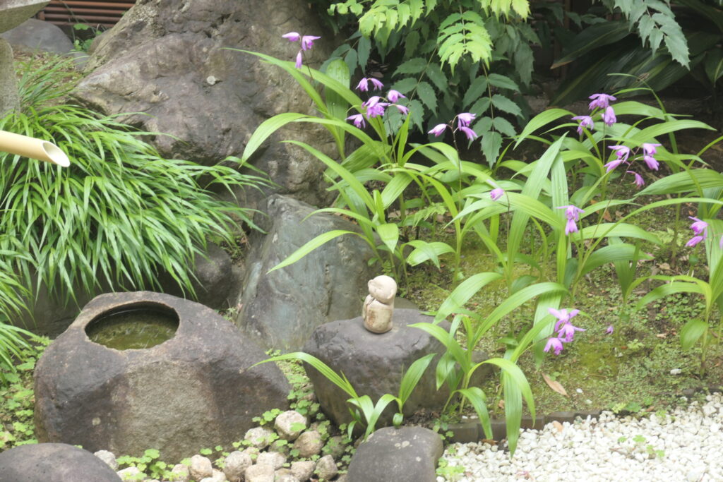 知っている？：画像