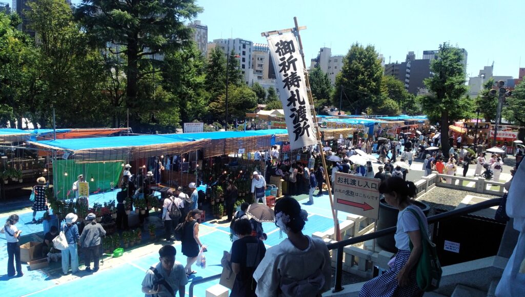 1＝46,000：画像