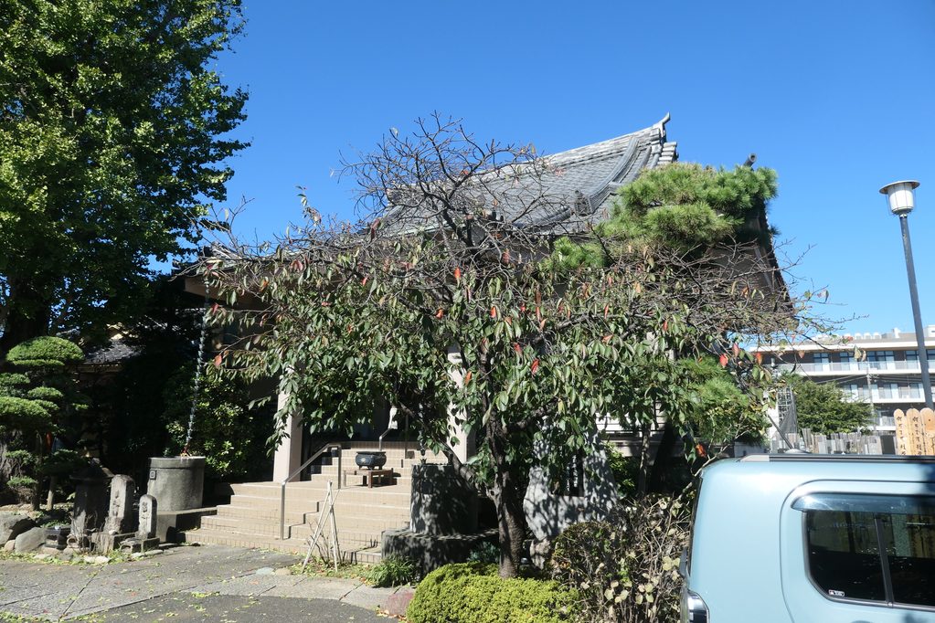 １号は偉いらしい：画像